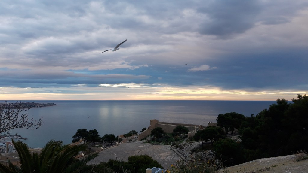 A dream-like overview of a sea city with a seagull flying over.