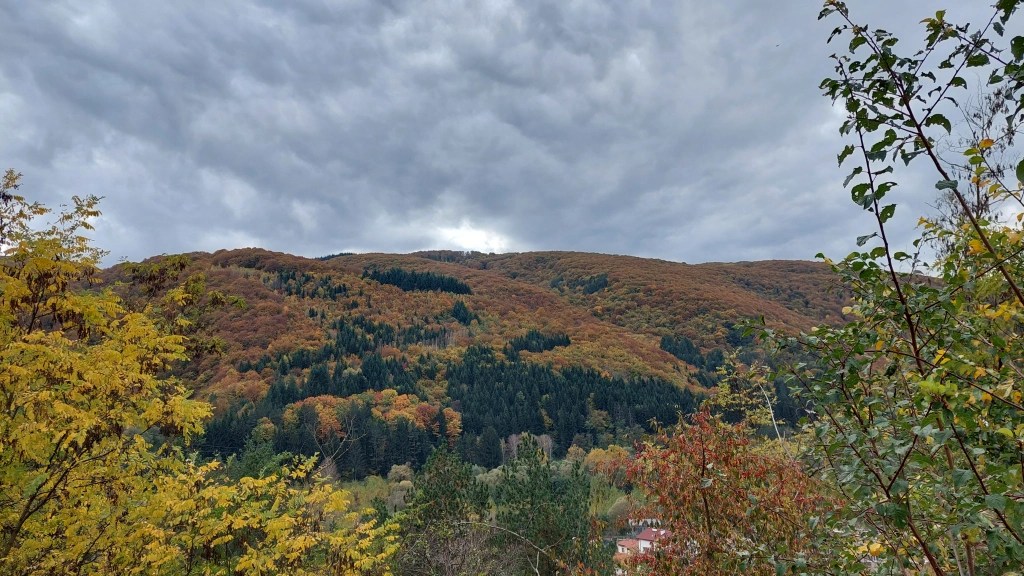 Autumn mountain view from a train window with some houses in the lowlands.