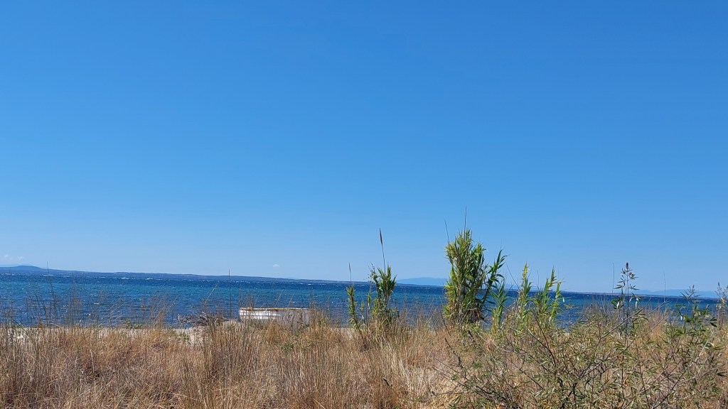 a broken boat on a beach, visible through grass